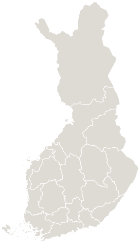 RGIS Finland