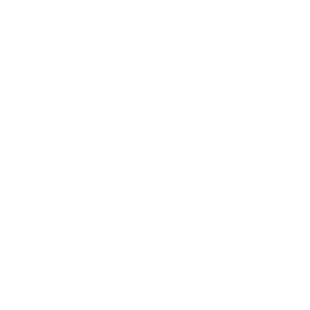 franchise investing